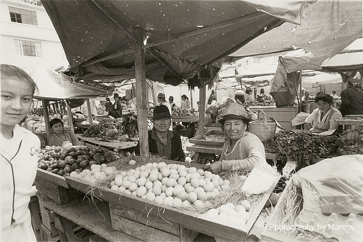 Ambato Market